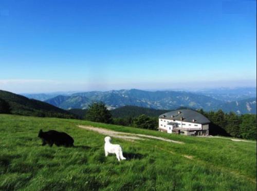 Casa Titina Riposo e Relax nella campagna toscana