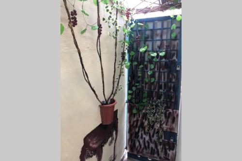 Skudai Homestay, 10pax,5min UTM Mutiara rini