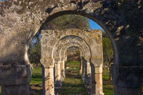 Masseria Spina Resort - image 10