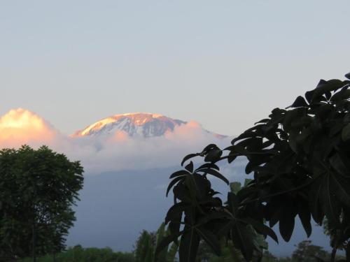 Kilimanjaro White House Hotel Moshi