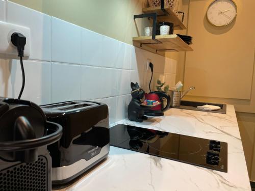 Appartement centre-ville LANCELOT
