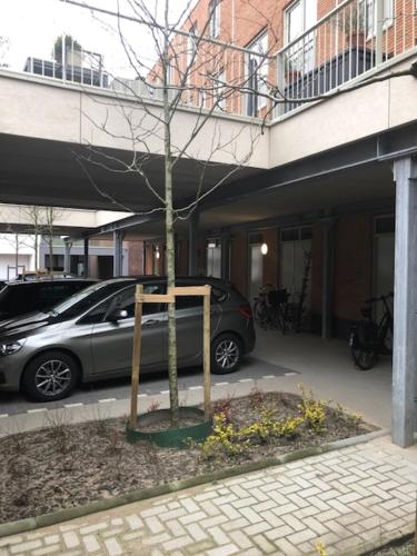 アーネム BenB Op de Trans, Arnhem op zijn best! 4つ星 シングルルーム 客室