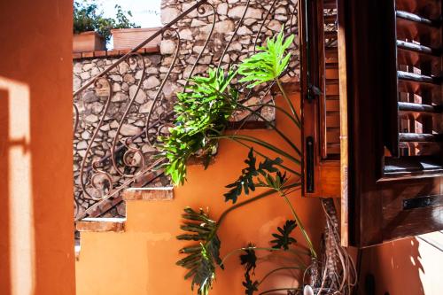 Casa Carla - Tap to explore photos