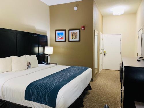 Comfort Inn & Suites Atlanta/Smyrna