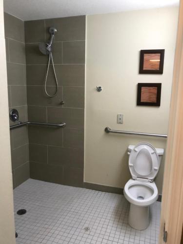Comfort Inn & Suites Galleria - image 6