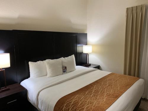 Comfort Inn & Suites Atlanta-Smyrna