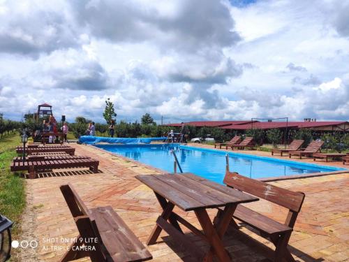 Úszómedence, Camp Salaš Farma 47 Čenej (Camp Salas Farma 47 Cenej) in Čenej