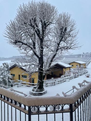  Tenuta Montebello in Rocca Grimalda