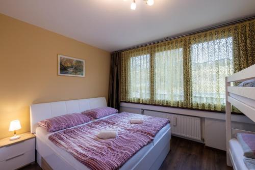Apartment Mariazell Burgeralpe in Mariazell