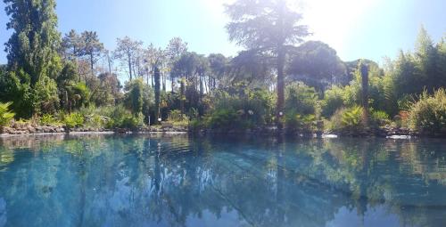 Chambre studio Verparadis in Moureze