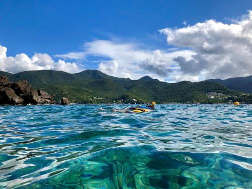 Les Lodges de Malendure in Bouillante