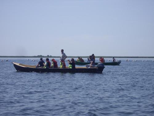 Vila Alga - image 14