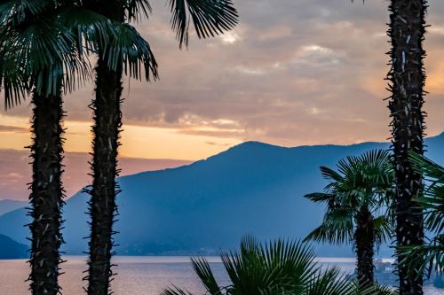 No Image available