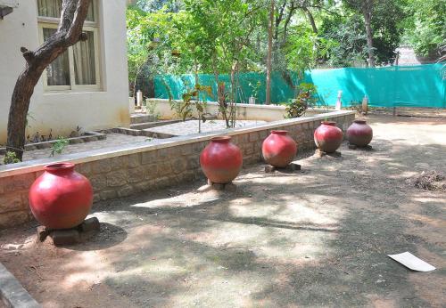 Sai Ramana Estate