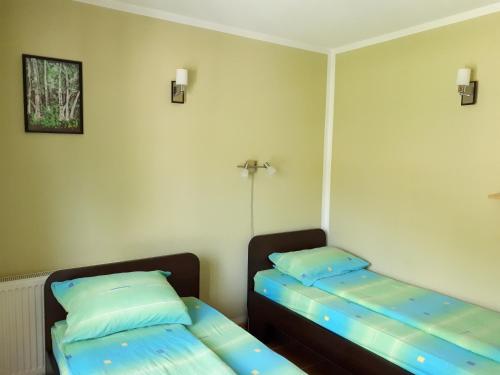 Apartmani Radoičić - image 5