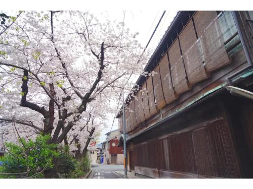 Keiyugyo Matsuya - Vacation STAY 16209v
