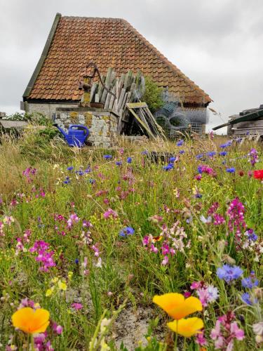 Vakantiebungalow Texel - image 6