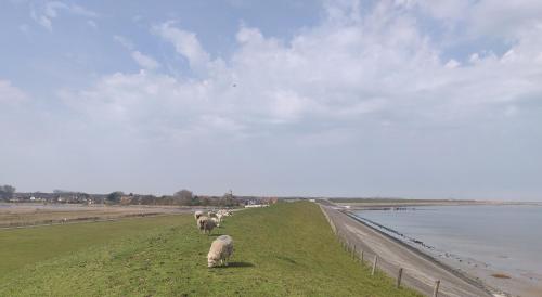 Vakantiebungalow Texel