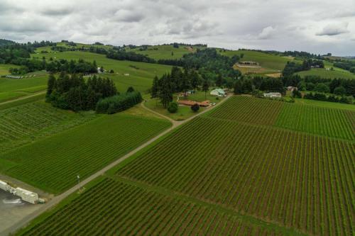 The Blanchard Homestead - image 25