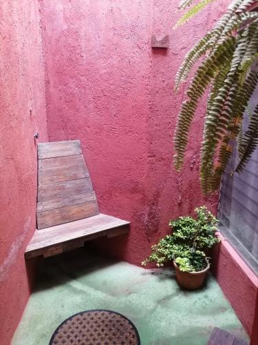 CASA ICHIK ANTIGUA GUATEMALA, Антигуа-Гуатемала (фото 6)