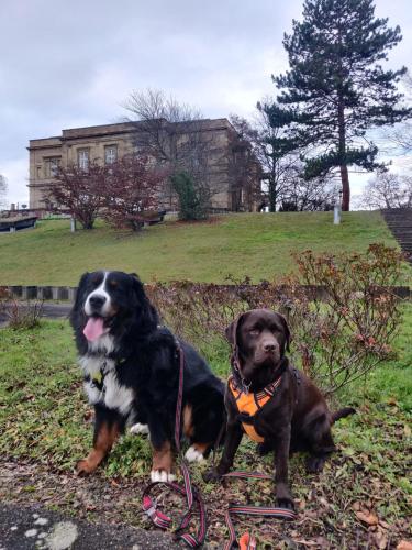 Hotel-Restaurant Köhler - image 3