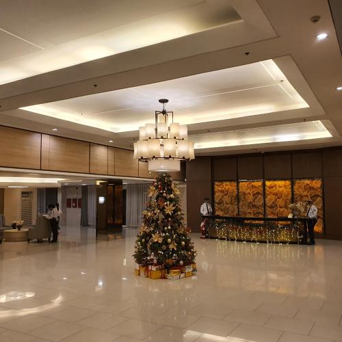 SHELL RESIDENCES, Manila (fotografie 4)