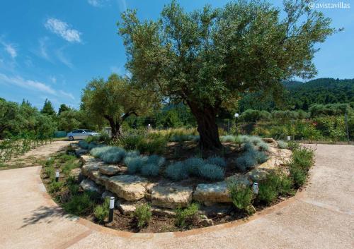 Avista Private Resort - image 6