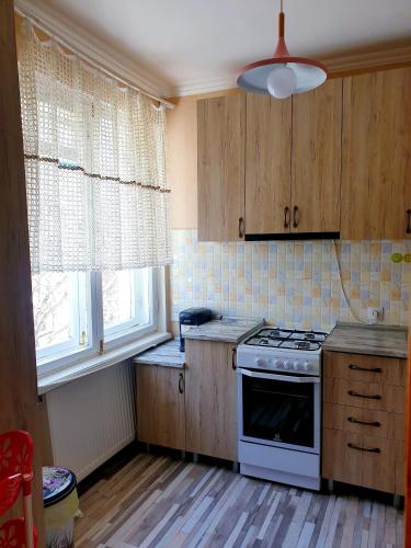 Konyha, Abastumani - Star Forest Apartment in Abastumani