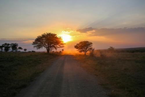 Osero Serengeti Luxury Tented Camp