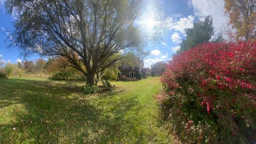 Magnificent acres farm, a jewel in the ecotourism