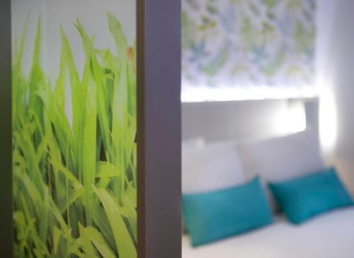 Salamanca Suite Studios