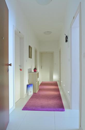 A&M Apartment and Rooms 5