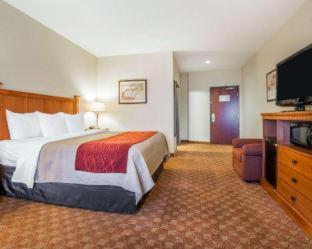 Comfort Inn & Suites Las Vegas - Nellis