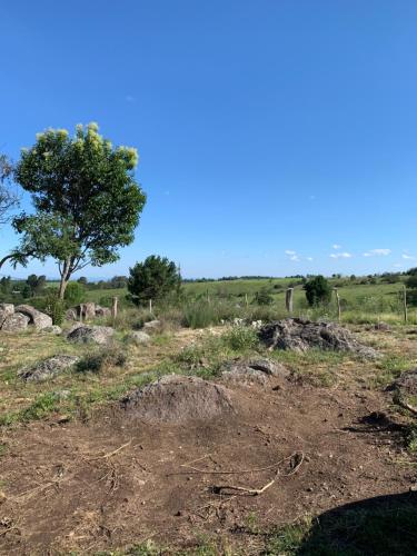 Nido del Buho ( Eule Nest)