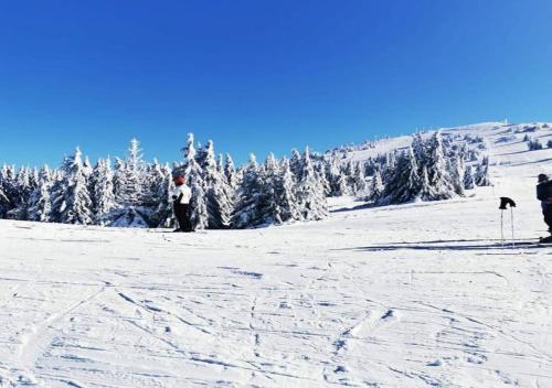 Kopaonik011 Konaci - image 12