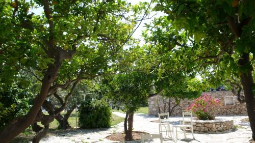 Hotel Anezina - image 2