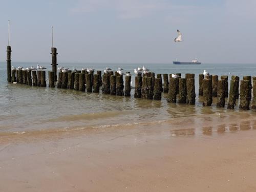 Rijksmonument Havenzicht, met zeezicht, ligging direct aan zee en centrum