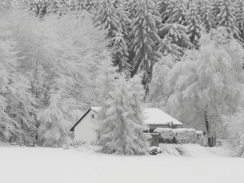 Exterior view, Ferienhaus mit Ausblick in Waldeck