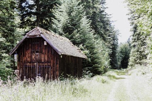 4-Zimmer-Ferienwohnung Bienenstock