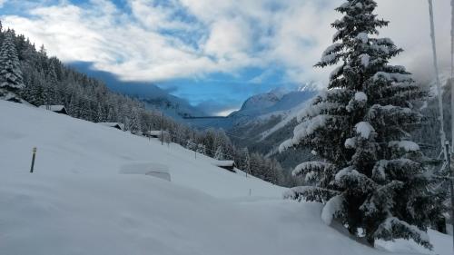 Chalet Edelweiss in Hérémence, Schweiz