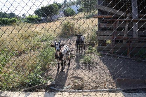  Apartamentos Rurais - Casas do Lagar in Rosmaninhal