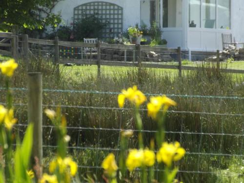 The Swallows Guest House – Llandysul