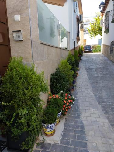 Casabobastro in Ardales