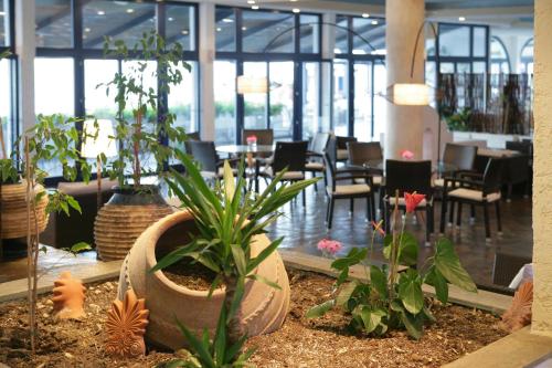 安德罗斯假期酒店 安德罗斯假期酒店