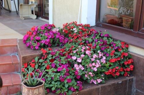 Guest House na Edinstvo 40 - image 5