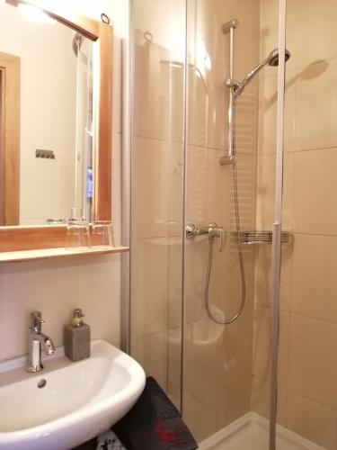 Haus Ditzer - Villa Theresia, Zell am See (Foto 4)