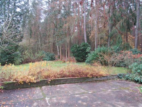 Pension Jägerschenke - image 4