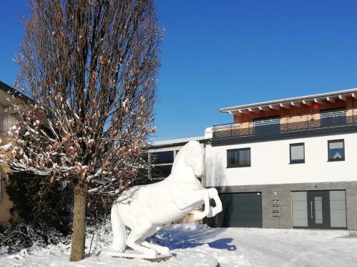 Ferienwohnung an der Reitanlage 4.4km von Dippoldiswalde entfernt