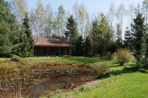Amerikaanse blokhut - image 6