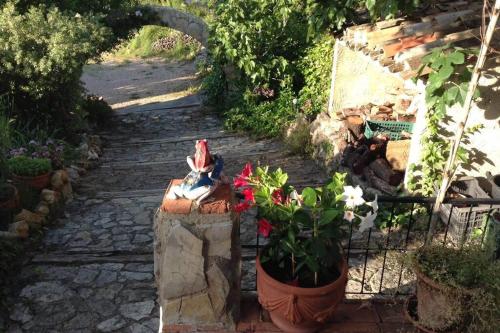 Casa La Paransa - Casa Rural con Piscina - Relajarse y Desconectar